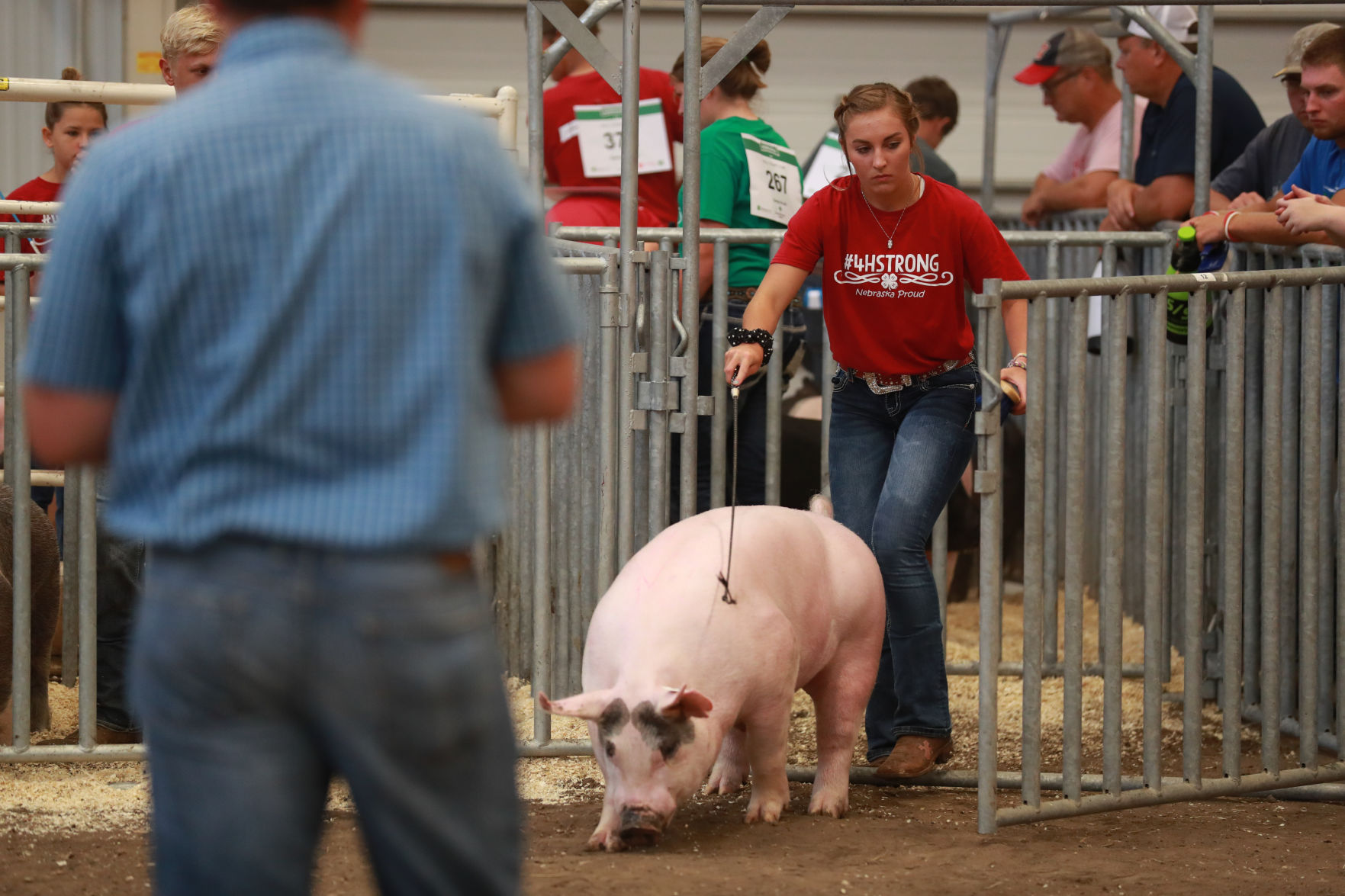 071119_HallCoFair33_bjs.JPG